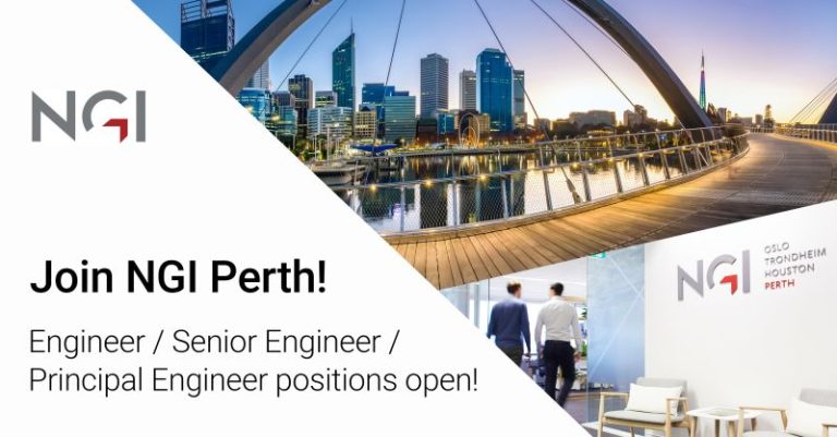 The Norwegian Geotechnical Institute (NGI)